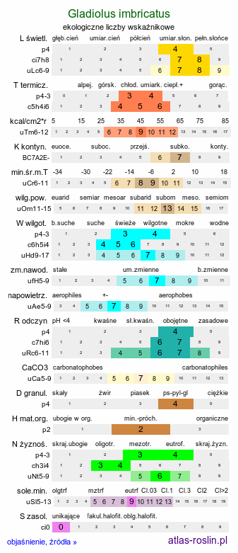 ekologiczne liczby wskaźnikowe Gladiolus imbricatus (mieczyk dachówkowaty)