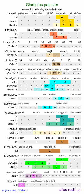 ekologiczne liczby wskaźnikowe Gladiolus paluster (mieczyk błotny)