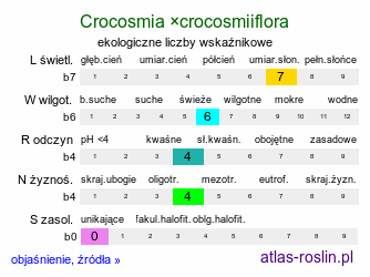 ekologiczne liczby wskaźnikowe Crocosmia ×crocosmiiflora (krokosmia ogrodowa)