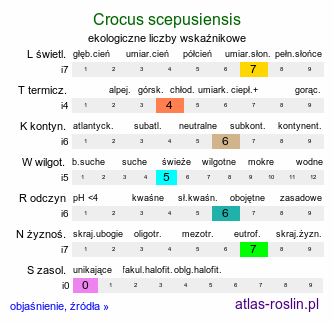 ekologiczne liczby wskaźnikowe Crocus scepusiensis (krokus spiski)