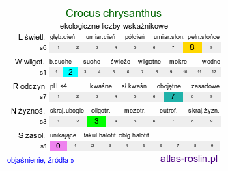ekologiczne liczby wskaźnikowe Crocus chrysanthus (krokus złocisty)