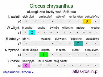 ekologiczne liczby wskaźnikowe Crocus chrysanthus (krokus złocisty)