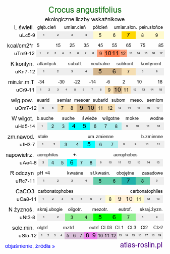 ekologiczne liczby wskaźnikowe Crocus angustifolius (krokus wąskolistny)