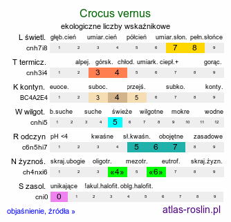 ekologiczne liczby wskaźnikowe Crocus albiflorus (krokus białokwiatowy)