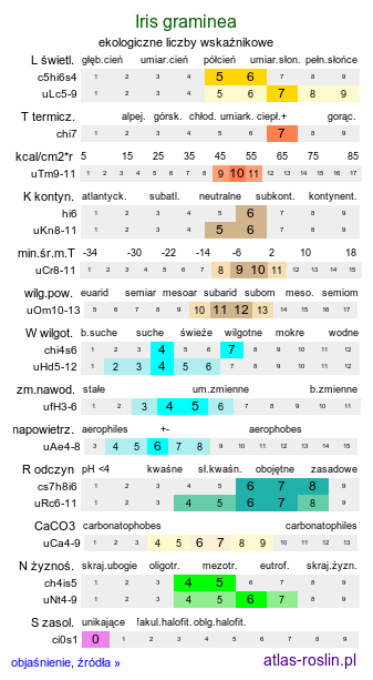 ekologiczne liczby wskaźnikowe Iris graminea (kosaciec trawolistny)