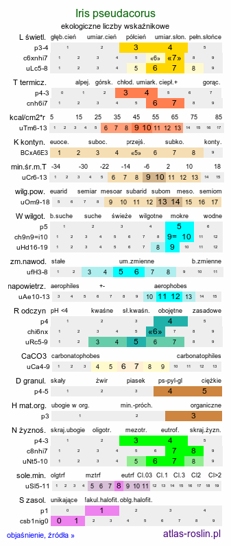 ekologiczne liczby wskaźnikowe Iris pseudacorus (kosaciec żółty)