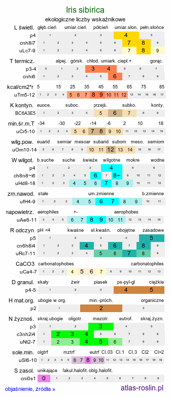 ekologiczne liczby wskaźnikowe Iris sibirica (kosaciec syberyjski)