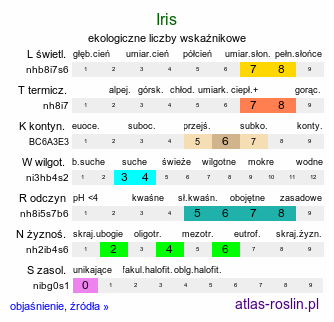 ekologiczne liczby wskaźnikowe Iris hort. (kosaciec ogrodowy)