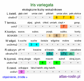 ekologiczne liczby wskaźnikowe Iris variegata (kosaciec pstry)