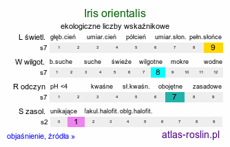 ekologiczne liczby wskaźnikowe Iris orientalis (kosaciec żółtawy)