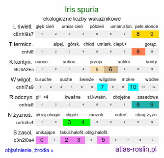 ekologiczne liczby wskaźnikowe Iris spuria (kosaciec fałszywy)