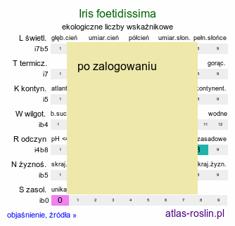 ekologiczne liczby wskaźnikowe Iris foetidissima (kosaciec cuchnący)