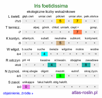 ekologiczne liczby wskaźnikowe Iris foetidissima (kosaciec cuchnący)