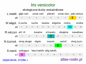 ekologiczne liczby wskaźnikowe Iris versicolor (kosaciec różnobarwny)