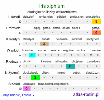 ekologiczne liczby wskaźnikowe Iris xiphium (irys hiszpański)