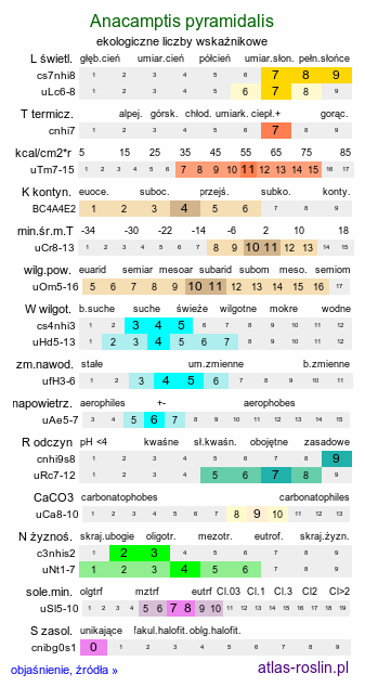ekologiczne liczby wskaźnikowe Anacamptis pyramidalis (koślaczek stożkowaty)