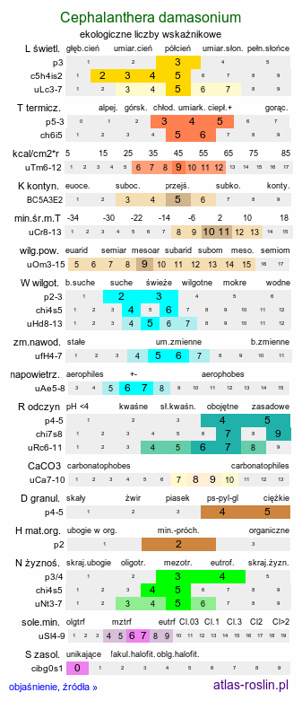 ekologiczne liczby wskaźnikowe Cephalanthera damasonium (buławnik wielkokwiatowy)