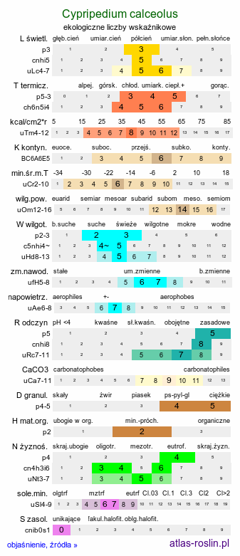 ekologiczne liczby wskaźnikowe Cypripedium calceolus (obuwik pospolity)