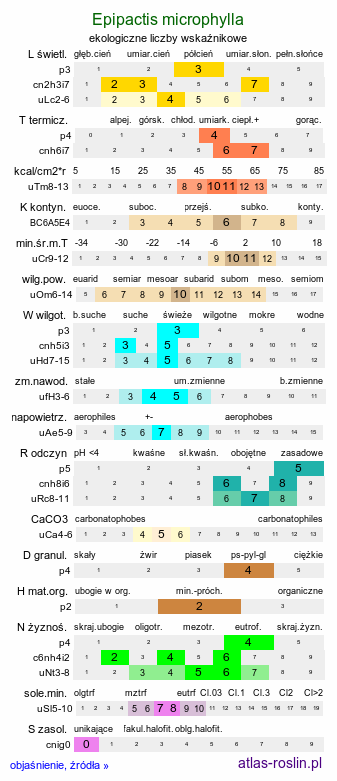 ekologiczne liczby wskaźnikowe Epipactis microphylla (kruszczyk drobnolistny)