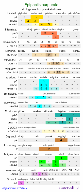 ekologiczne liczby wskaźnikowe Epipactis purpurata (kruszczyk siny)
