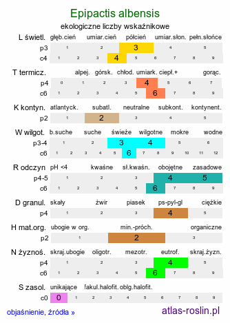 ekologiczne liczby wskaźnikowe Epipactis albensis (kruszczyk połabski)