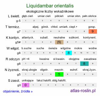 ekologiczne liczby wskaźnikowe Liquidambar orientalis (ambrowiec wschodni)