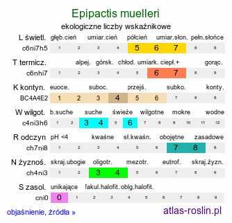 ekologiczne liczby wskaźnikowe Epipactis muelleri (kruszczyk Muellera)