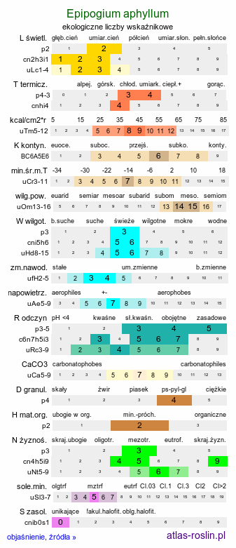 ekologiczne liczby wskaźnikowe Epipogium aphyllum (storzan bezlistny)