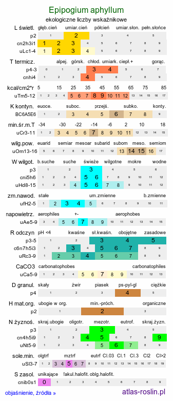 ekologiczne liczby wskaźnikowe Epipogium aphyllum (storzan bezlistny)