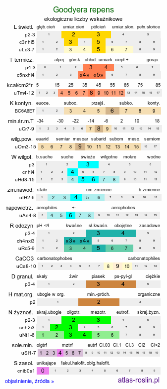 ekologiczne liczby wskaźnikowe Goodyera repens (tajęża jednostronna)