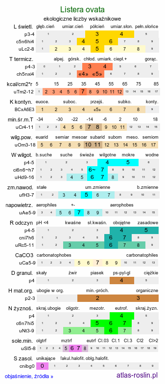 ekologiczne liczby wskaźnikowe Listera ovata (listera jajowata)