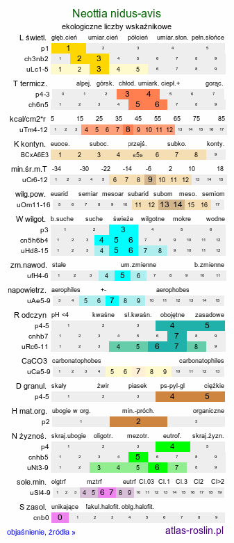 ekologiczne liczby wskaźnikowe Neottia nidus-avis (gnieźnik leśny)