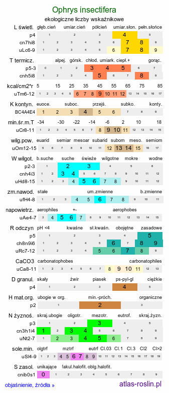 ekologiczne liczby wskaźnikowe Ophrys insectifera (dwulistnik muszy)