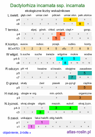 ekologiczne liczby wskaźnikowe Dactylorhiza incarnata ssp. incarnata (kukułka krwista typowa)