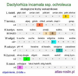 ekologiczne liczby wskaźnikowe Dactylorhiza incarnata ssp. ochroleuca (stoplamek krwisty żółtawy)