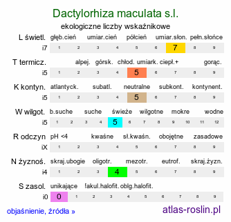 ekologiczne liczby wskaźnikowe Dactylorhiza maculata s.l. (kukułka plamista)