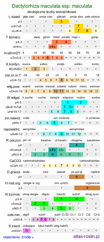 ekologiczne liczby wskaźnikowe Dactylorhiza maculata ssp. maculata (kukułka plamista typowa)
