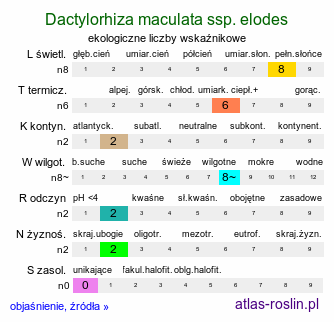 ekologiczne liczby wskaźnikowe Dactylorhiza maculata ssp. elodes