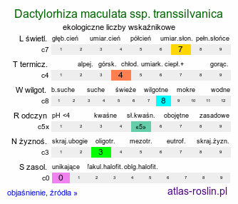 ekologiczne liczby wskaźnikowe Dactylorhiza maculata ssp. transsilvanica