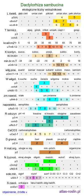 ekologiczne liczby wskaźnikowe Dactylorhiza sambucina (kukułka bzowa)
