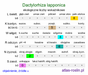 ekologiczne liczby wskaźnikowe Dactylorhiza lapponica (kukułka lapońska)