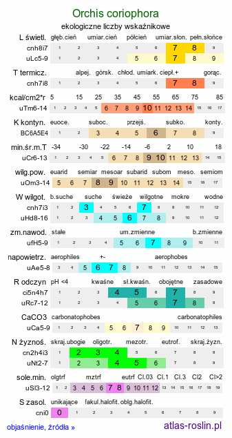 ekologiczne liczby wskaźnikowe Orchis coriophora (storczyk cuchnący)