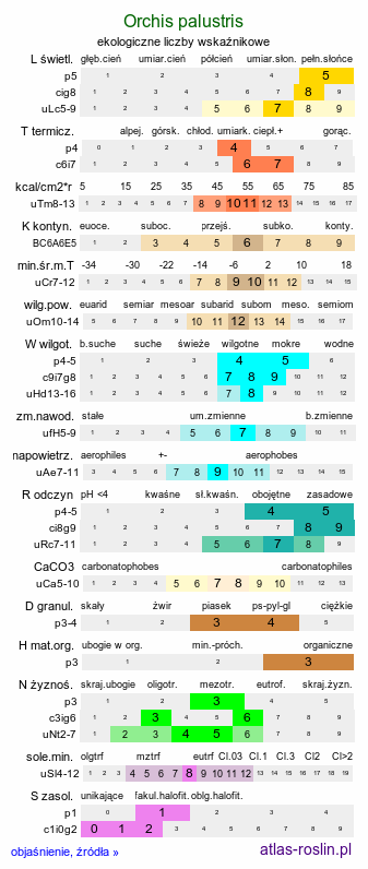 ekologiczne liczby wskaźnikowe Orchis palustris (storczyk błotny)