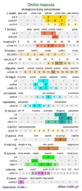 ekologiczne liczby wskaźnikowe Orchis mascula (storczyk męski)