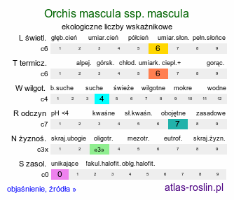 ekologiczne liczby wskaźnikowe Orchis mascula ssp. mascula (storczyk męski nakrapiany typowy)