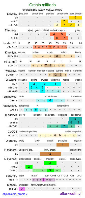 ekologiczne liczby wskaźnikowe Orchis militaris (storczyk kukawka)