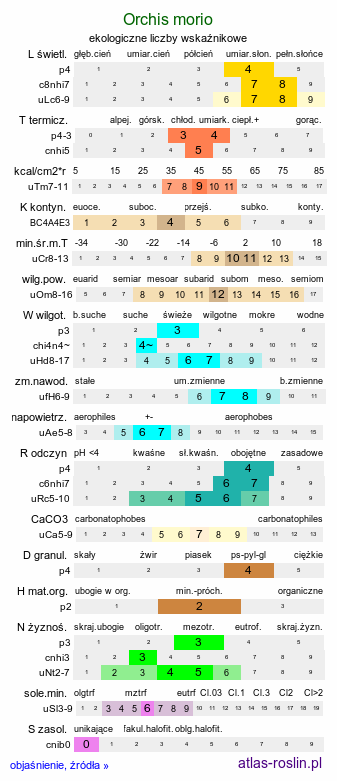 ekologiczne liczby wskaźnikowe Orchis morio (storczyk samczy)