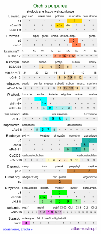 ekologiczne liczby wskaźnikowe Orchis purpurea (storczyk purpurowy)