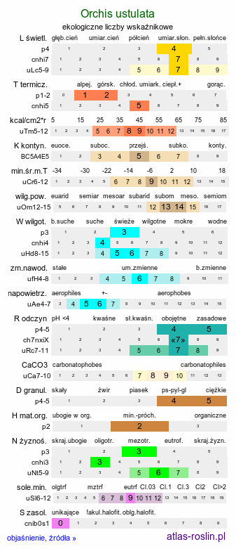 ekologiczne liczby wskaźnikowe Orchis ustulata (storczyk drobnokwiatowy)