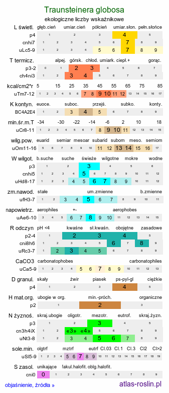 ekologiczne liczby wskaźnikowe Traunsteinera globosa (storczyca kulista)